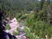 DSCN0710